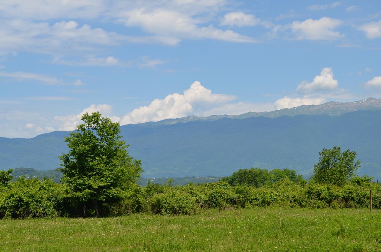Solnechny Bereg Guest House グダウタ エクステリア 写真