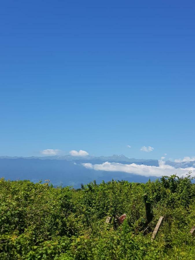 Solnechny Bereg Guest House グダウタ エクステリア 写真