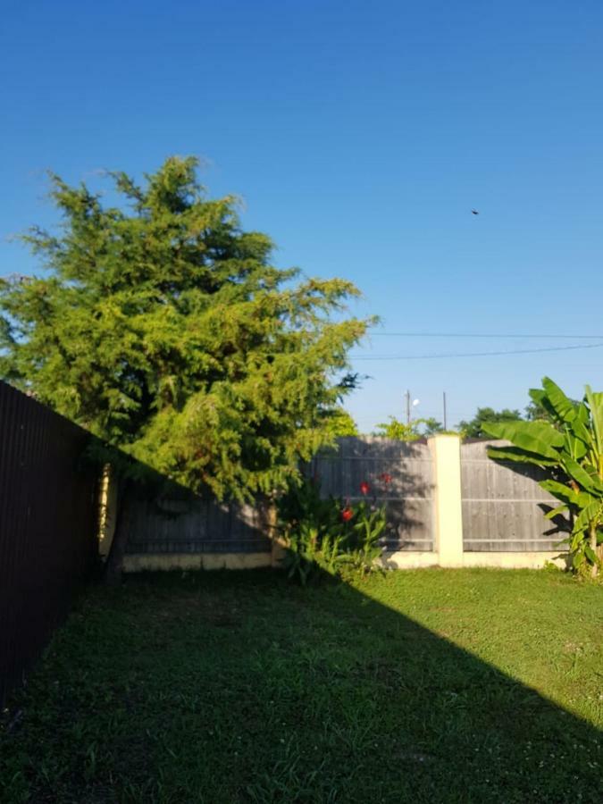 Solnechny Bereg Guest House グダウタ エクステリア 写真
