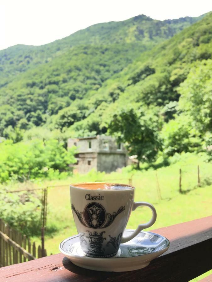 Solnechny Bereg Guest House グダウタ エクステリア 写真