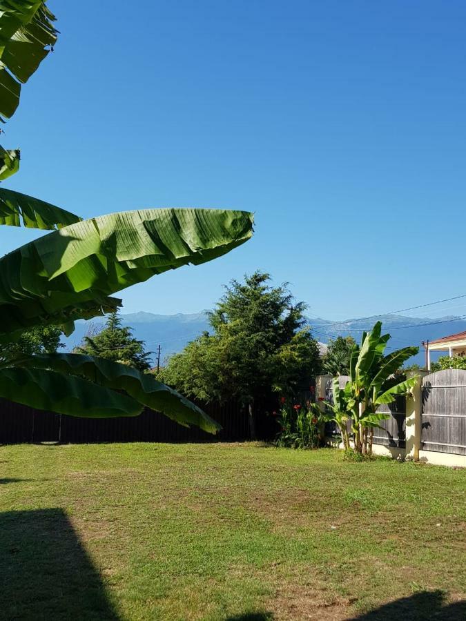 Solnechny Bereg Guest House グダウタ エクステリア 写真
